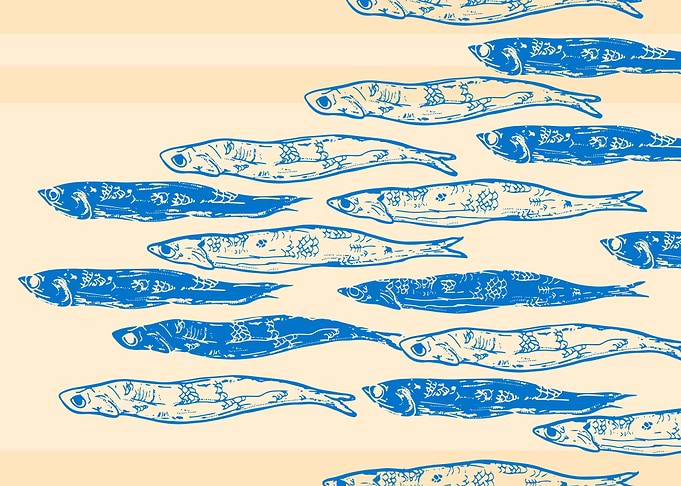 Sardines Blue