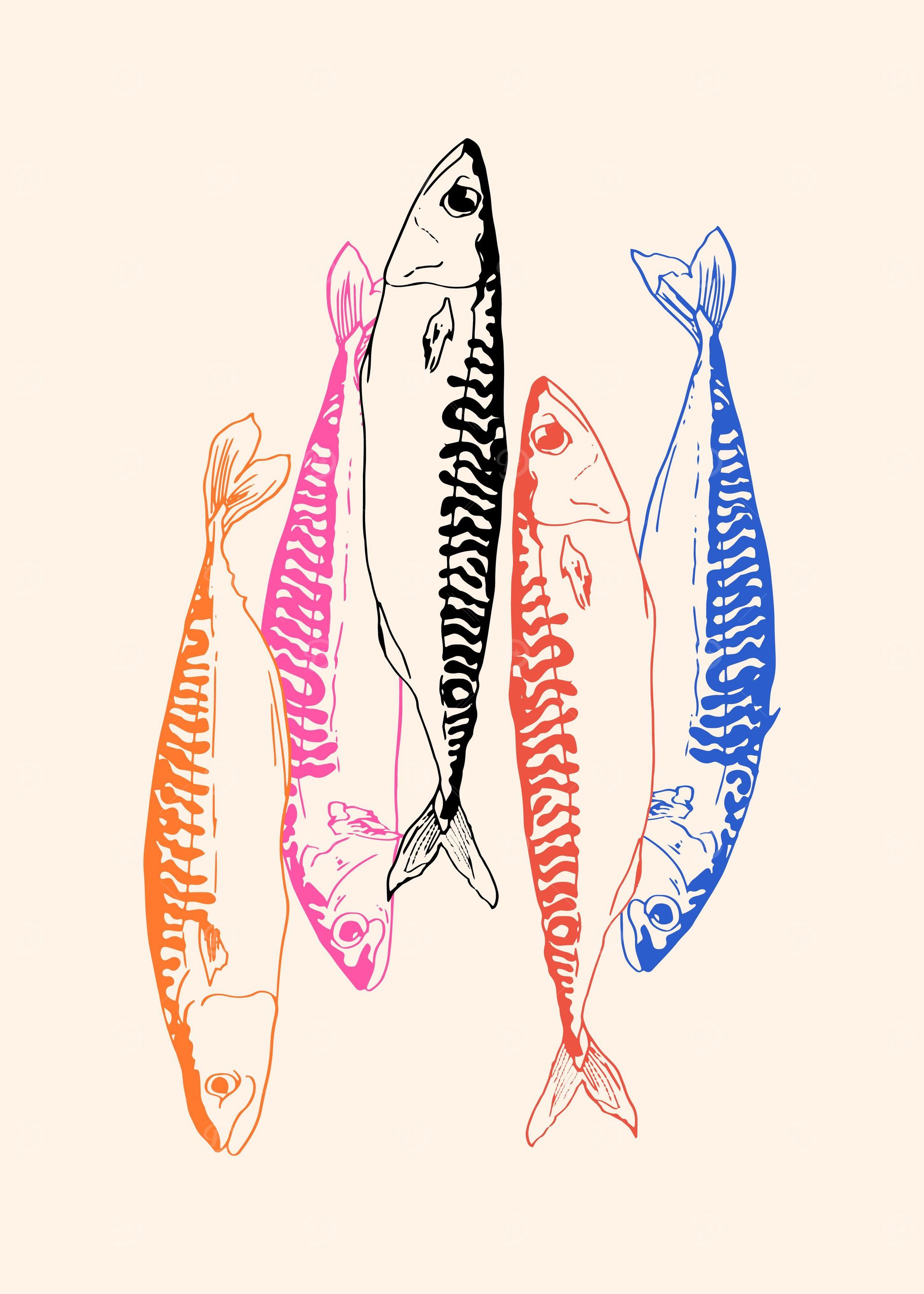 Mackerel Retro