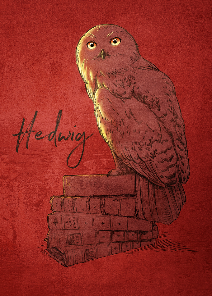 Hedwig