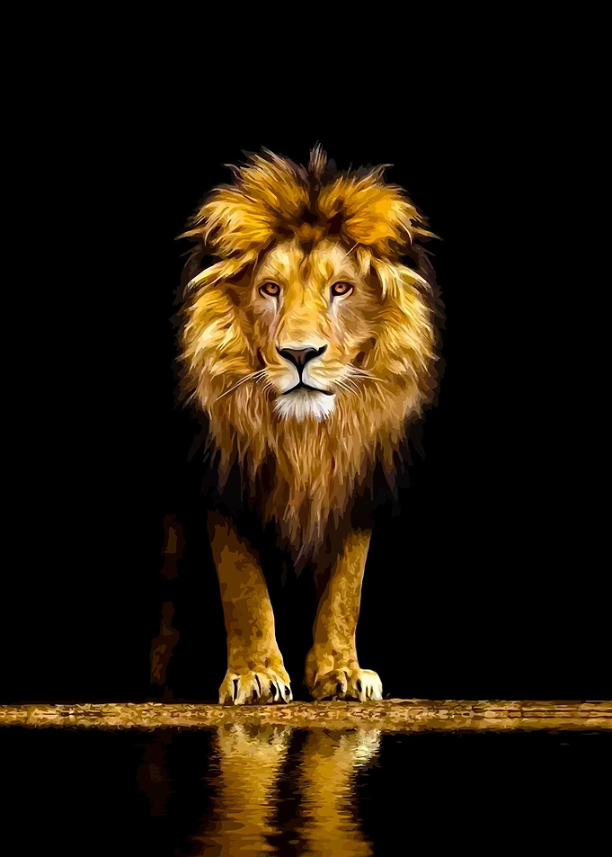 Lion