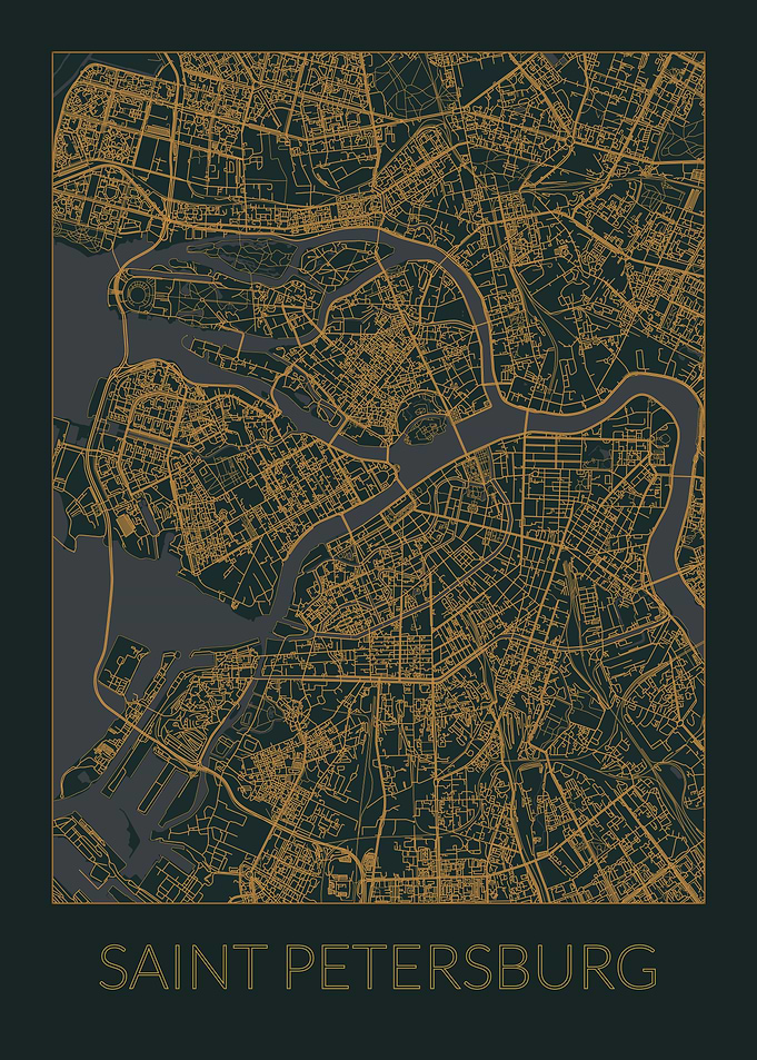 Saint Petersburg Gray Map