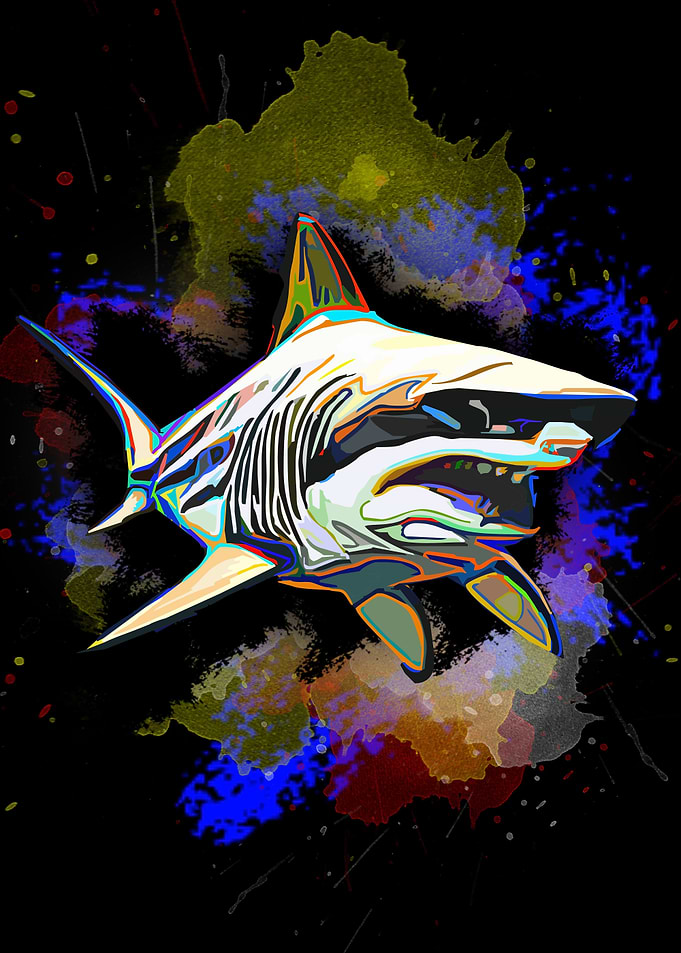 Shark 18