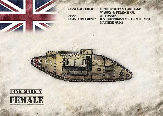 Mark V Female