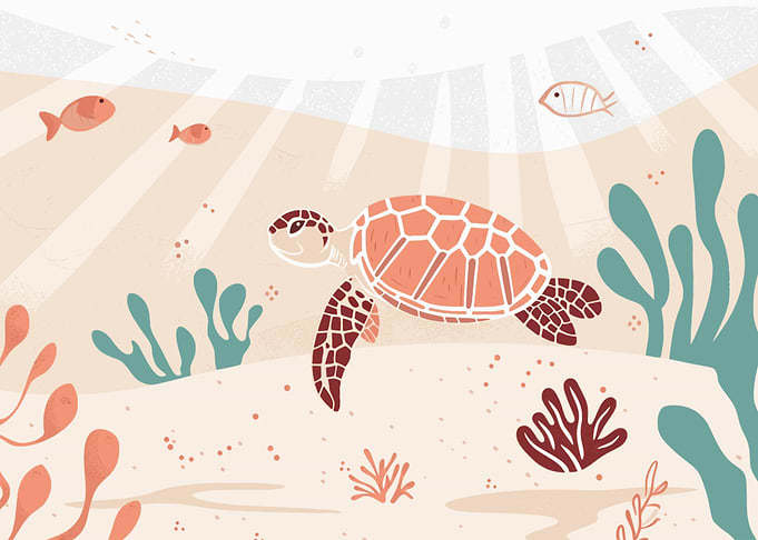 Sea Turtle Swimming