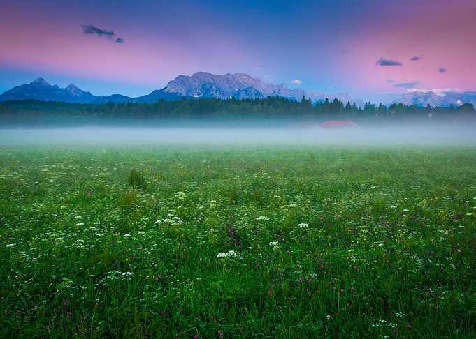 Summer Morning in the Alps