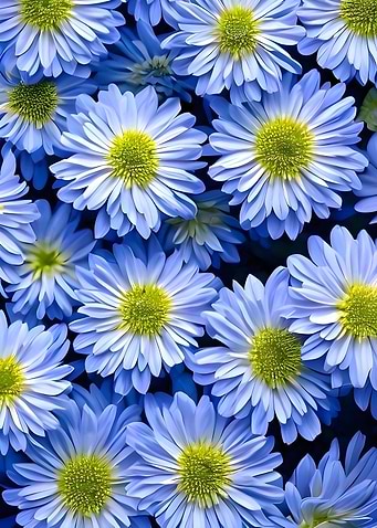 flower wallpaper pattern