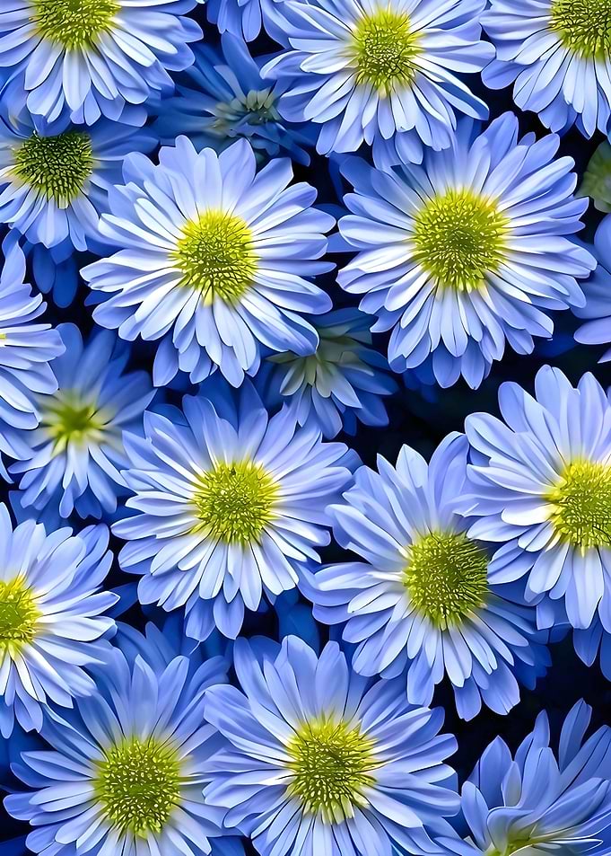 flower wallpaper pattern