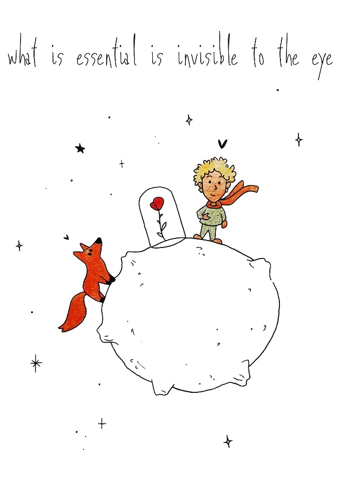 Rose Fox Planet and Stars