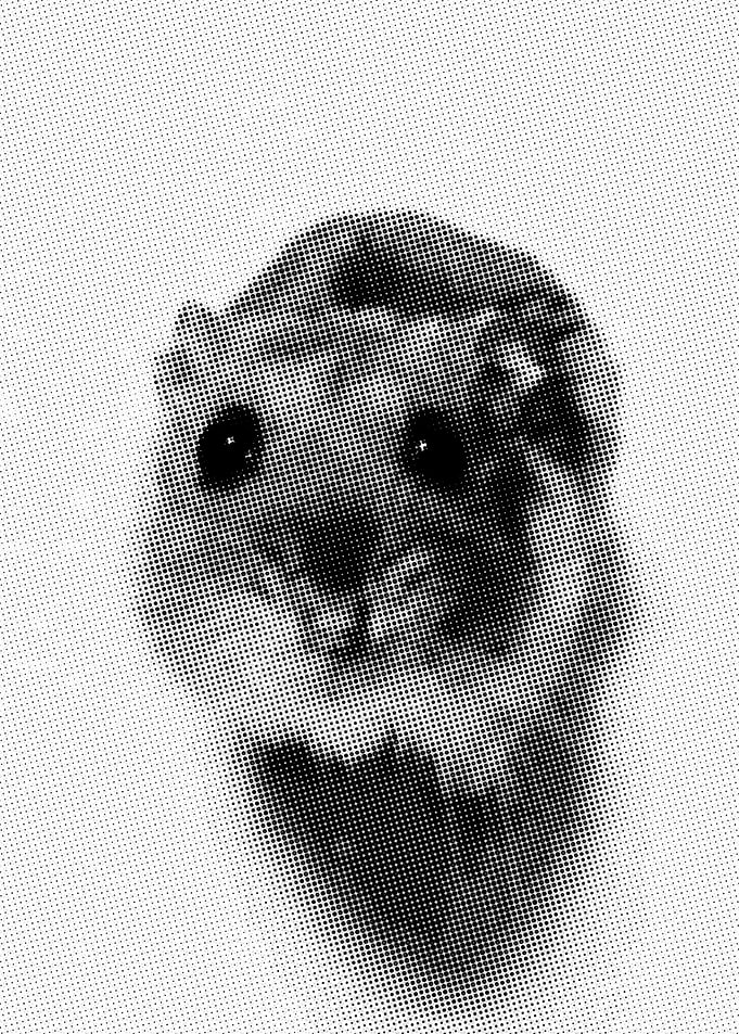 Hamster