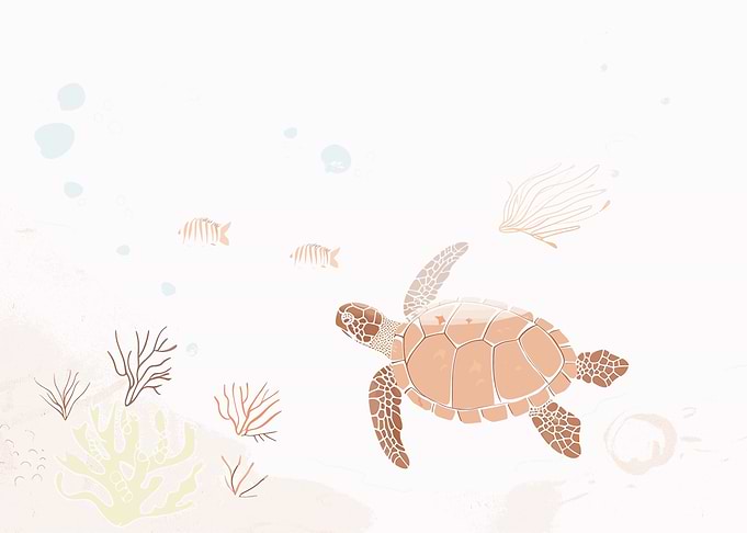 Sea Turtle In The Ocean