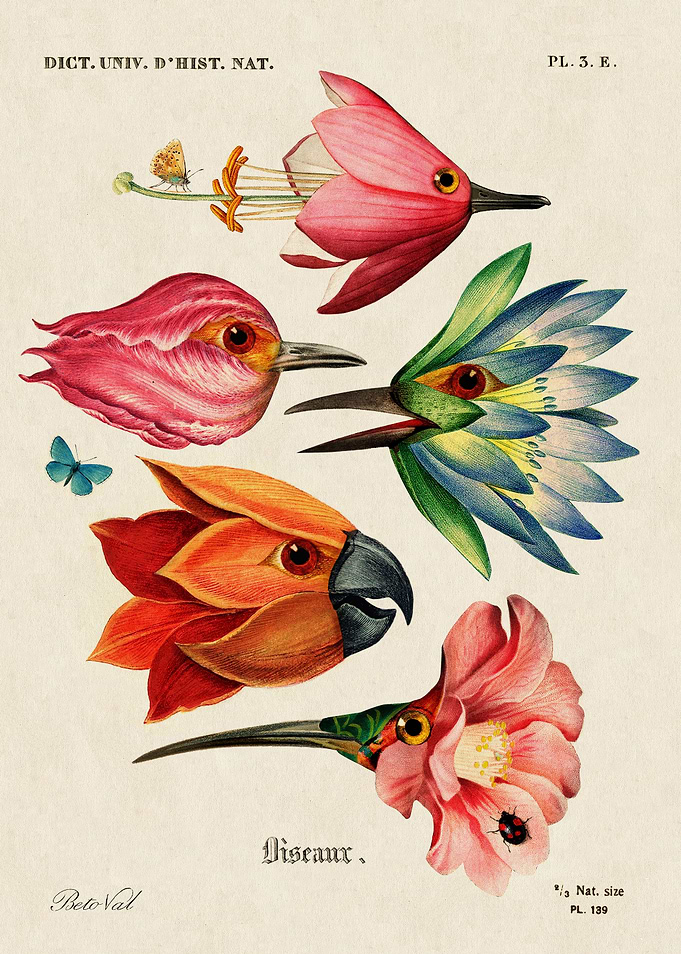 Flower birds