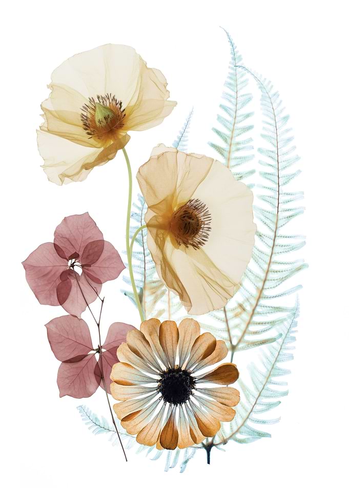 Botanical Reverie