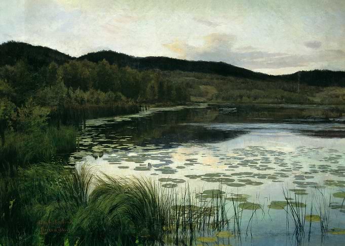 Summer Night