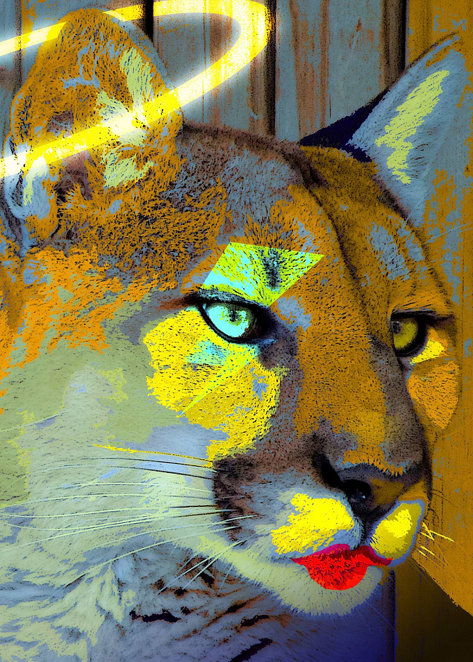 Dead Bowie Cougar