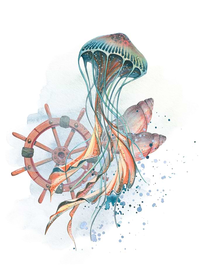 Captain Jellyfish