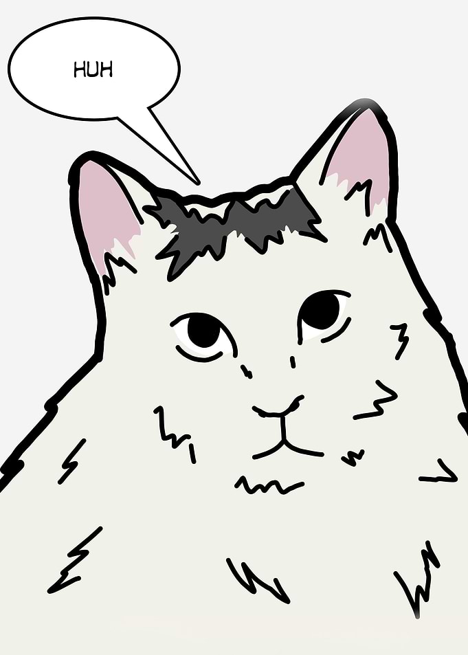 Huh cat