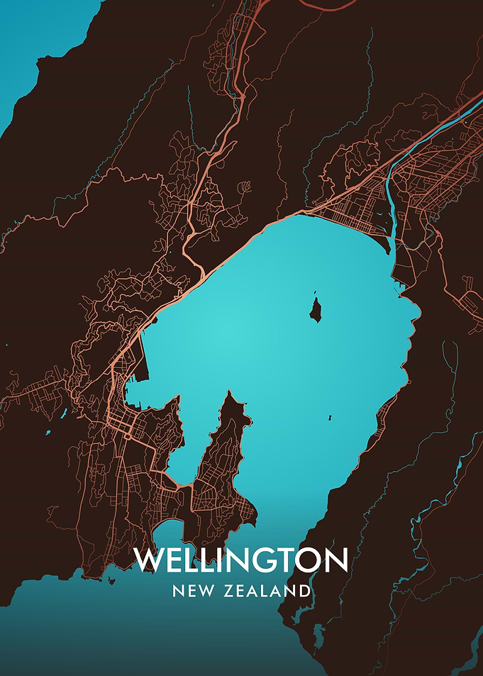 Wellington City Map