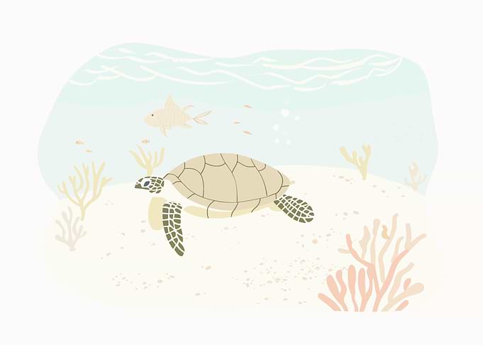 Sea Turtle Swimming