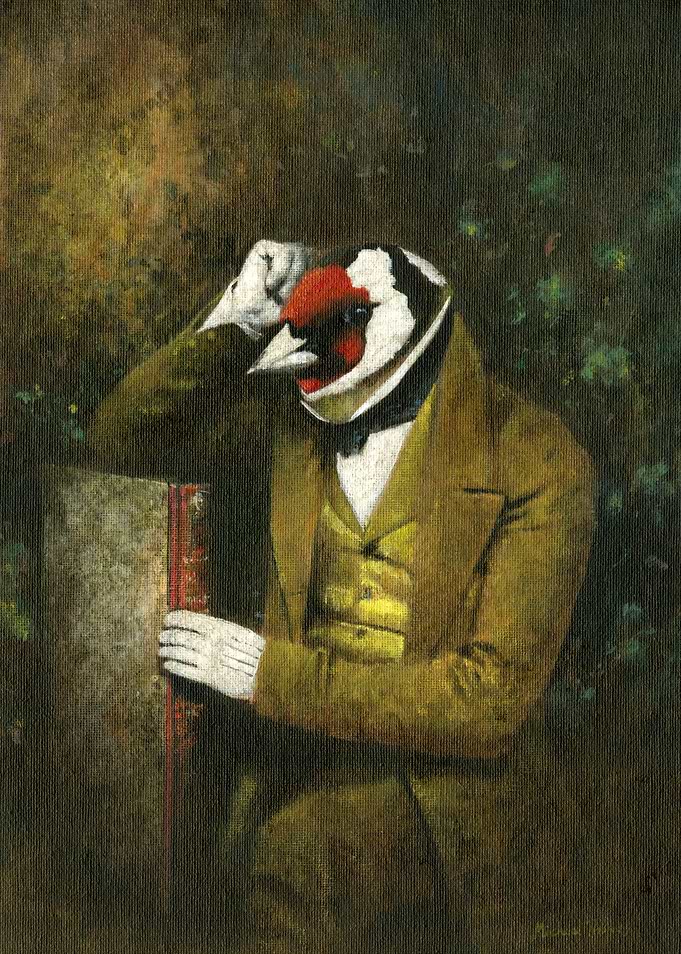 Goldfinch Gentleman