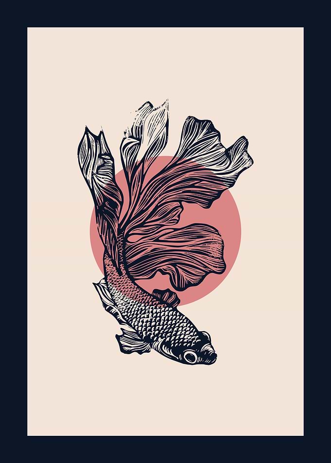 betta fish