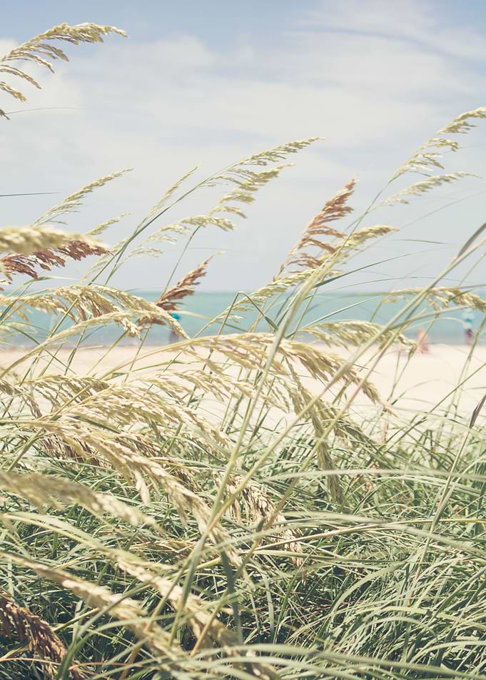 Port St Joe Florida