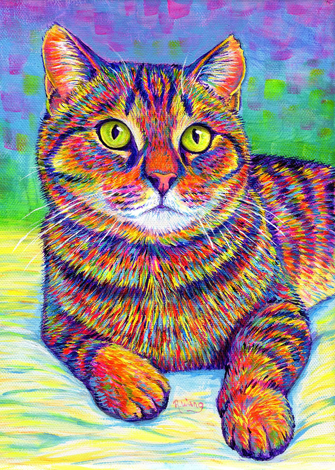 Colorful Brown Tabby Cat