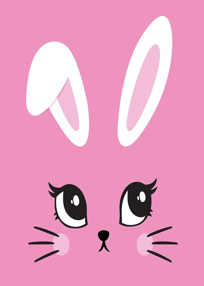 cute bunny
