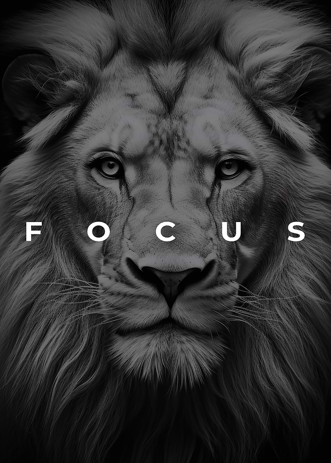 Lion Focus