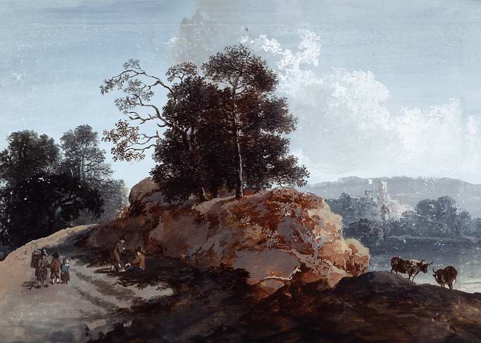 Tree section on rocks