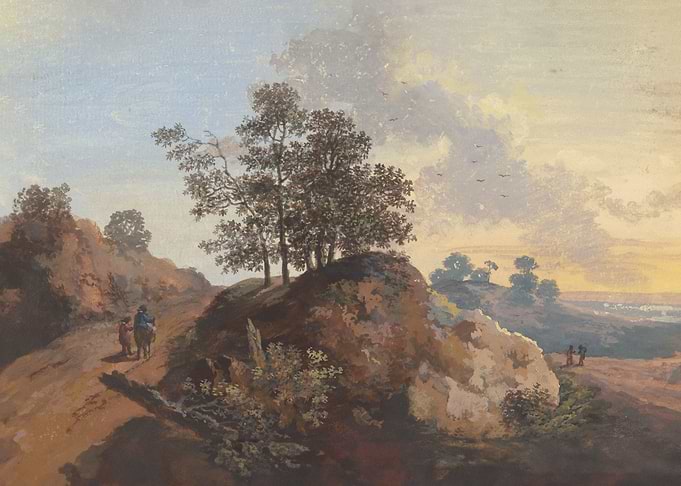 Tree section with rocks