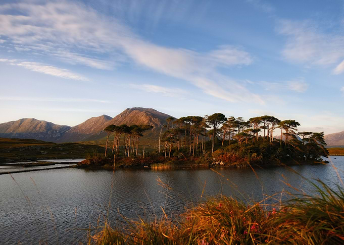Pine Island