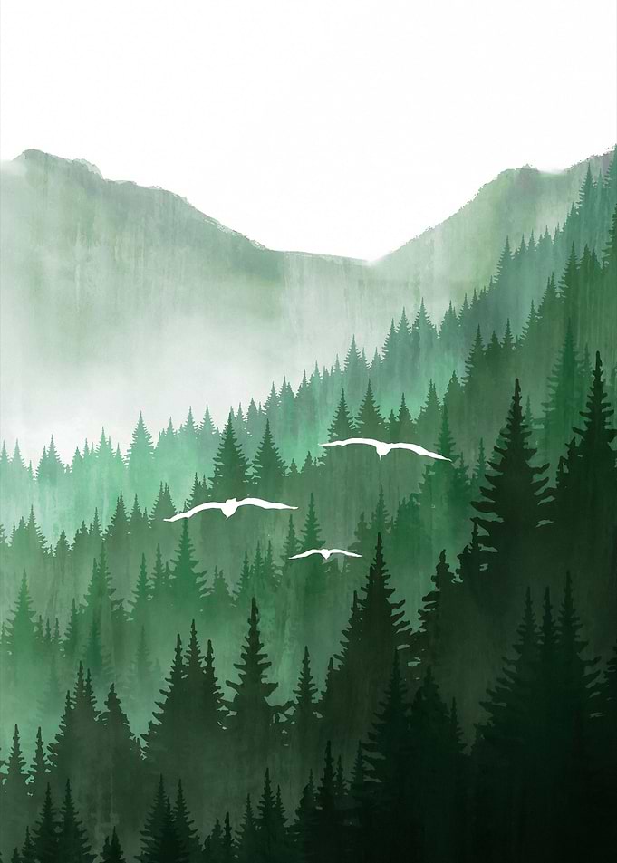 Smoky Forest