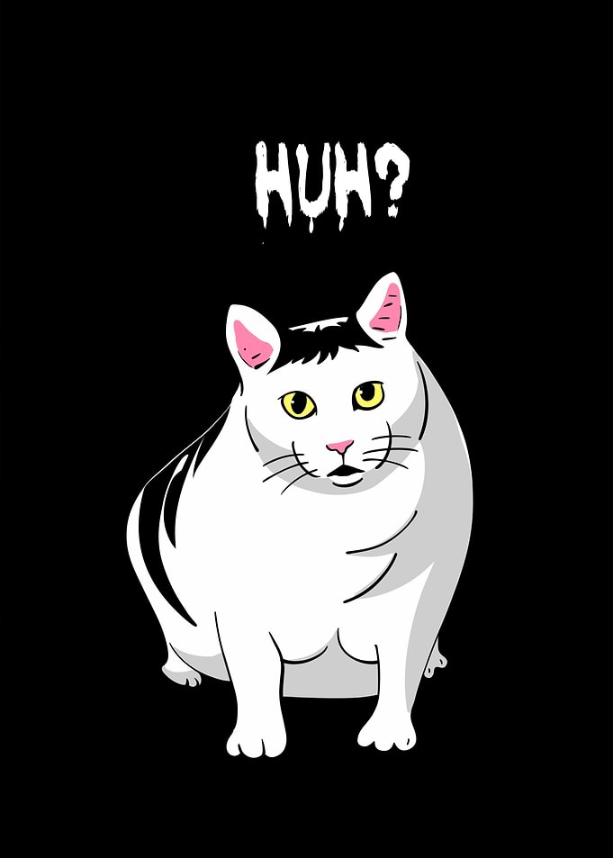 shocked cat memes