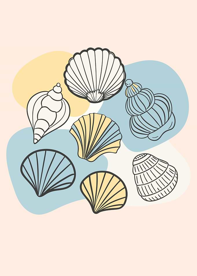 Seashells