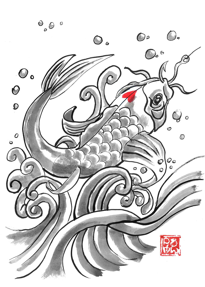 koi trapped