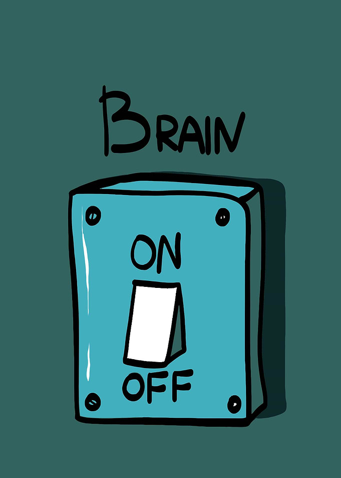 Brain