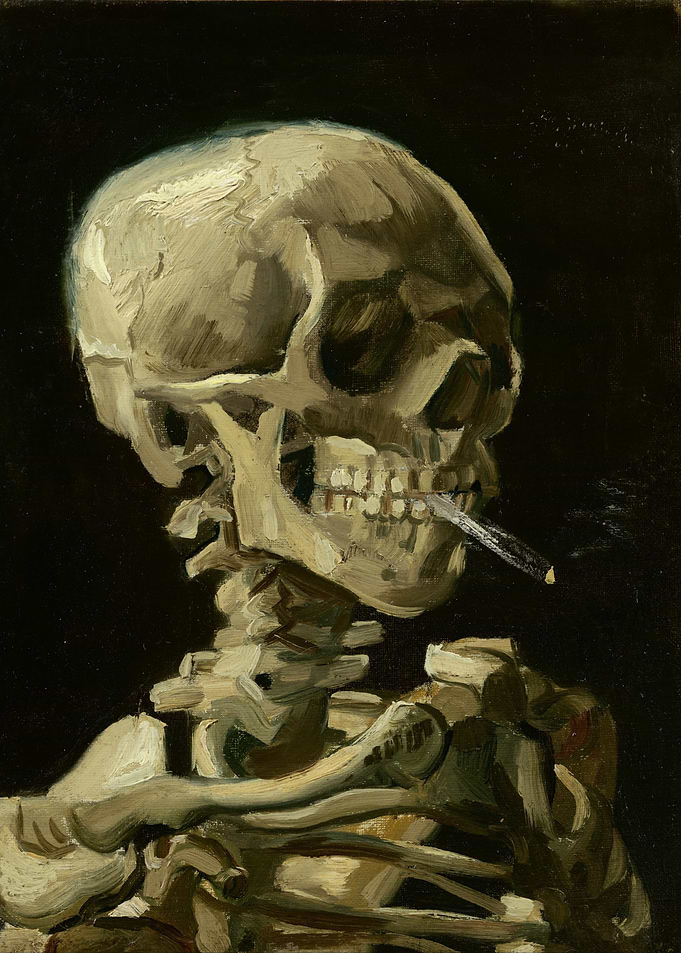 Head of a Skeleton with a