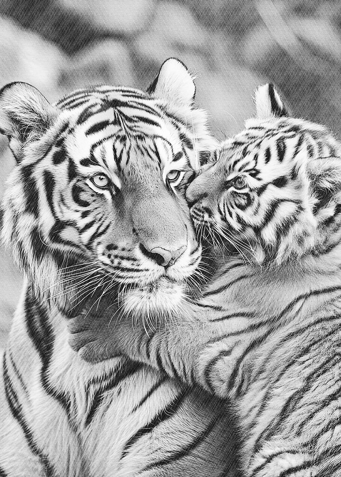 mother and tiger cub
