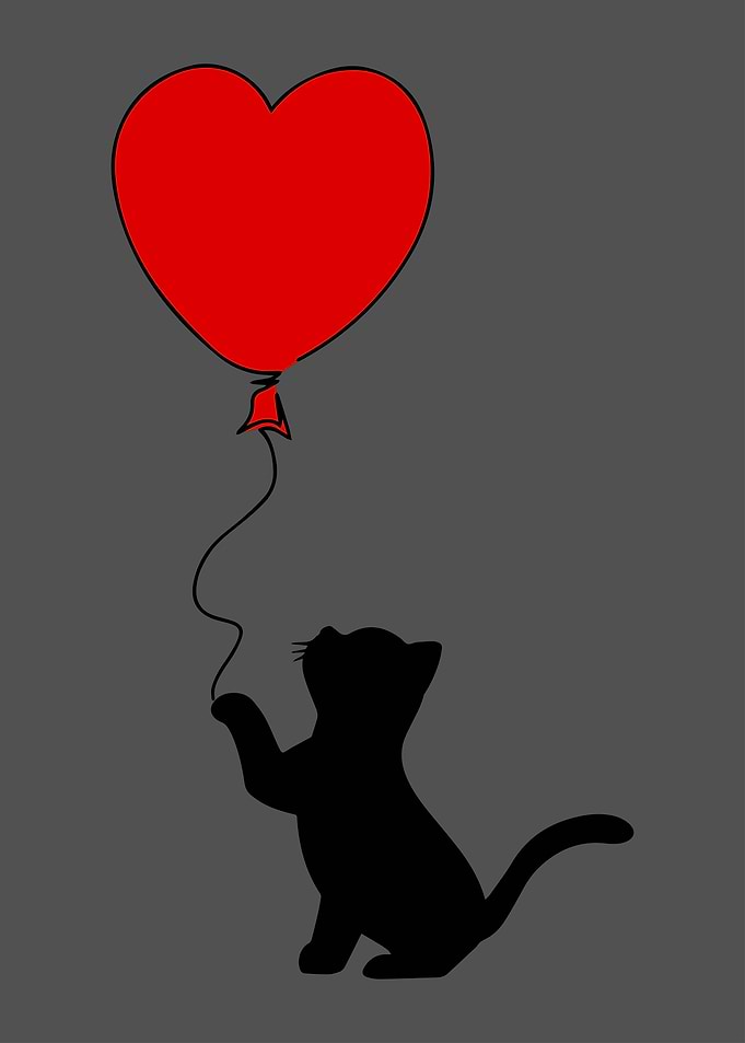 Cat Black Banksy