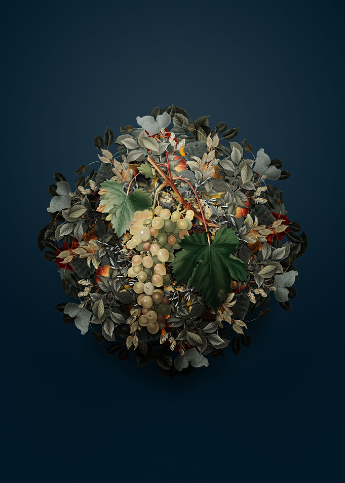 Muscat Grape Fruit Wreath