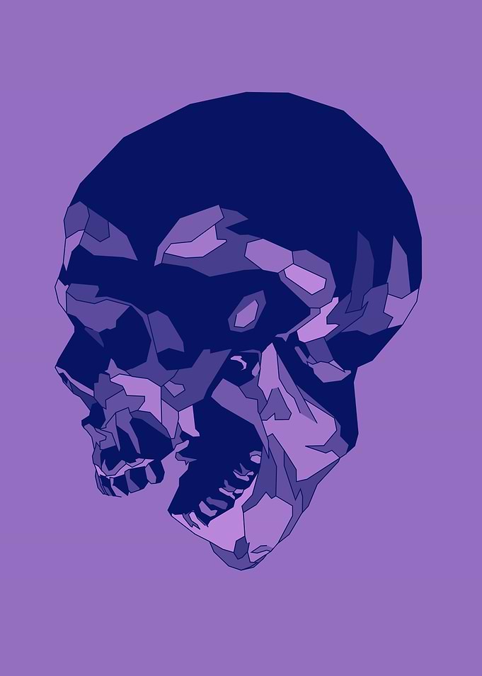 Skull Pop Art
