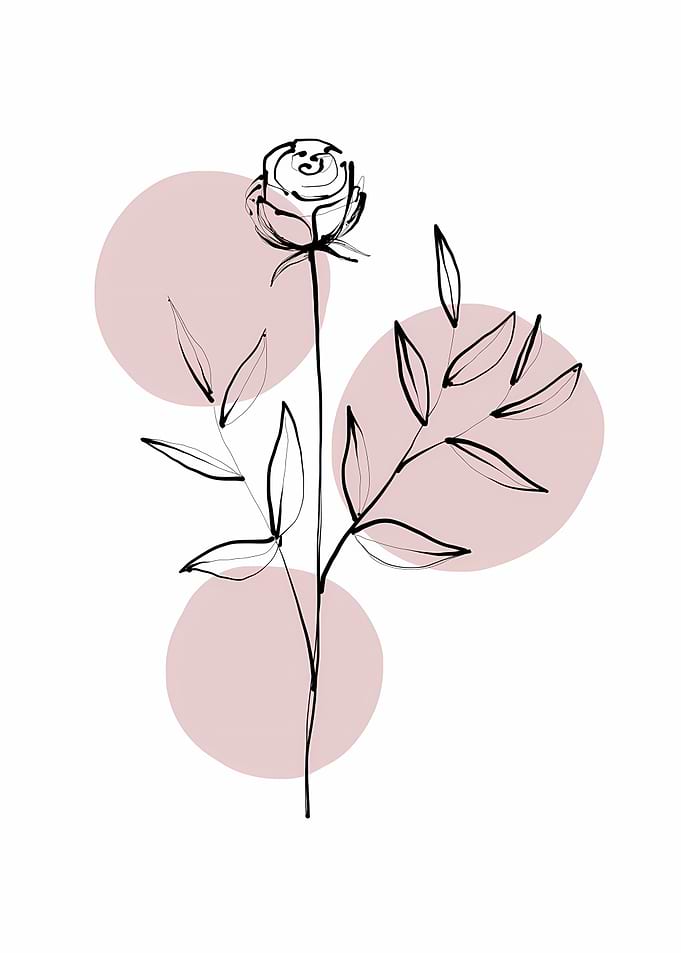 Delicate Botanicals Rose