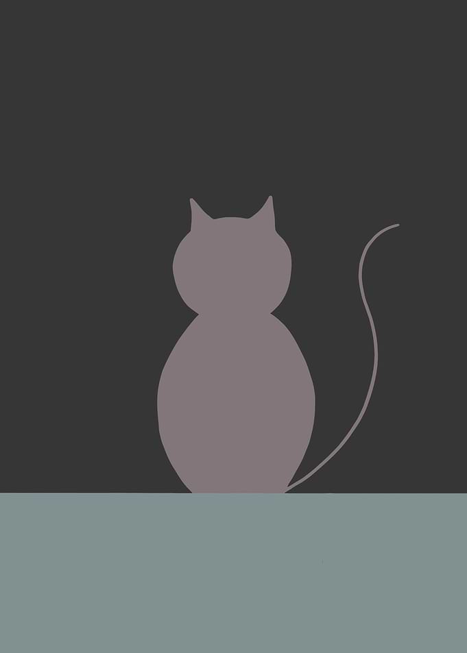 Silhouette of cat