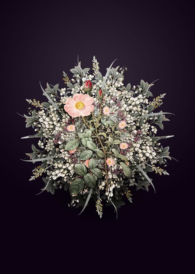Sparkling Rose Wreath