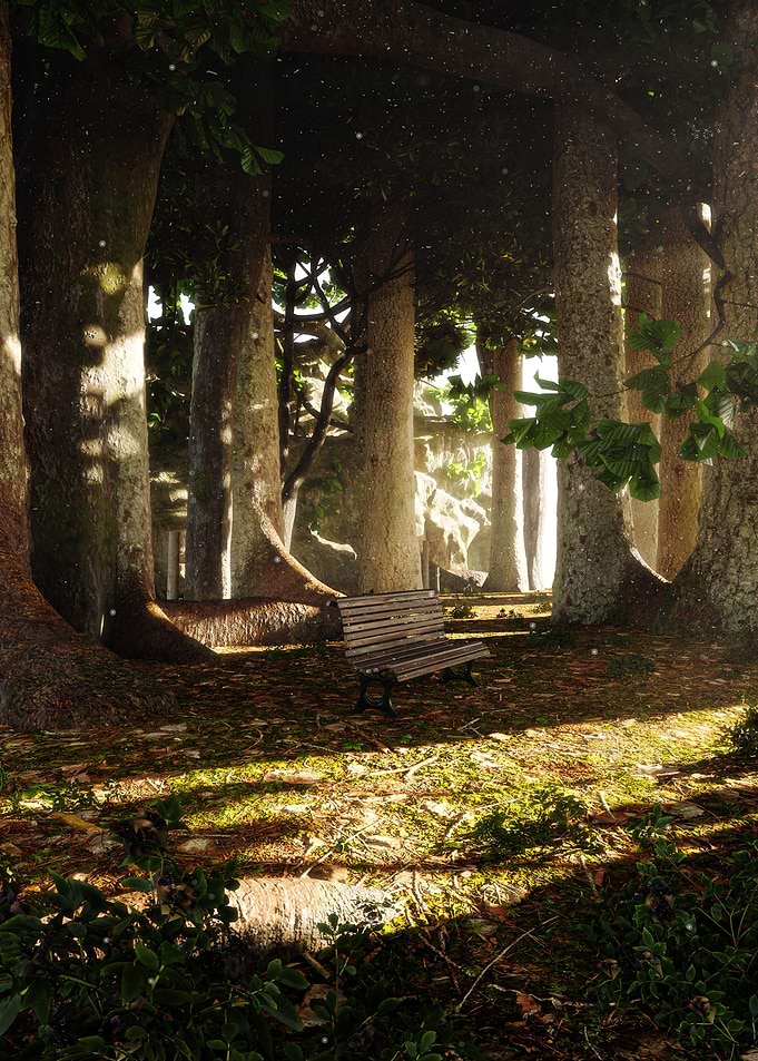 Forest Bench