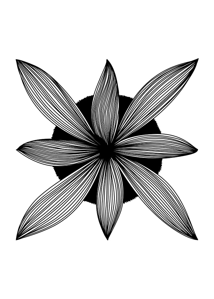 Spring petals