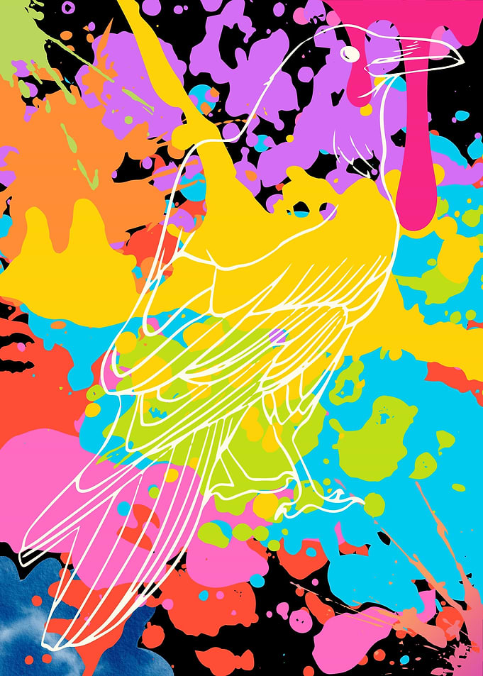 White Crow Colorful