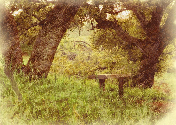 A Place to Rest