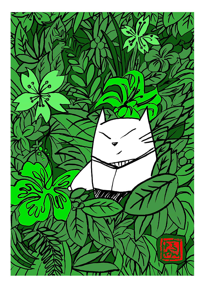 momoneko in the jungle