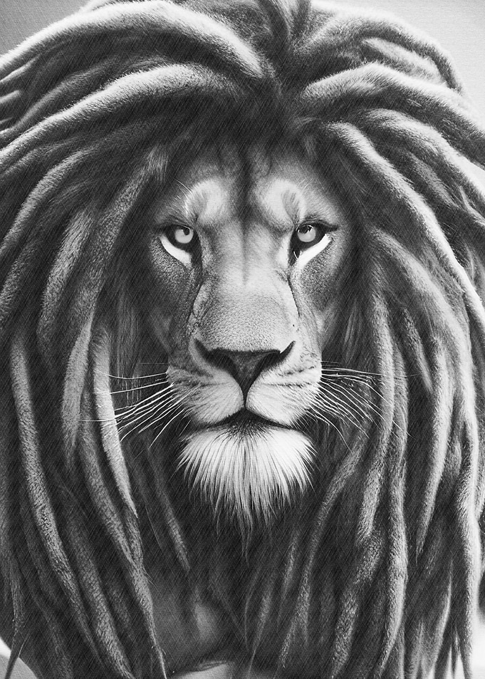 Lion dreadlocks